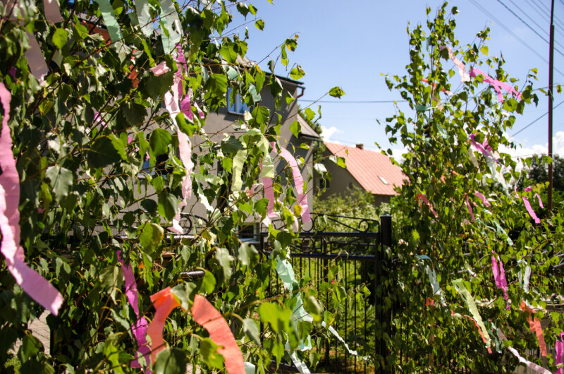 SFMJ_035