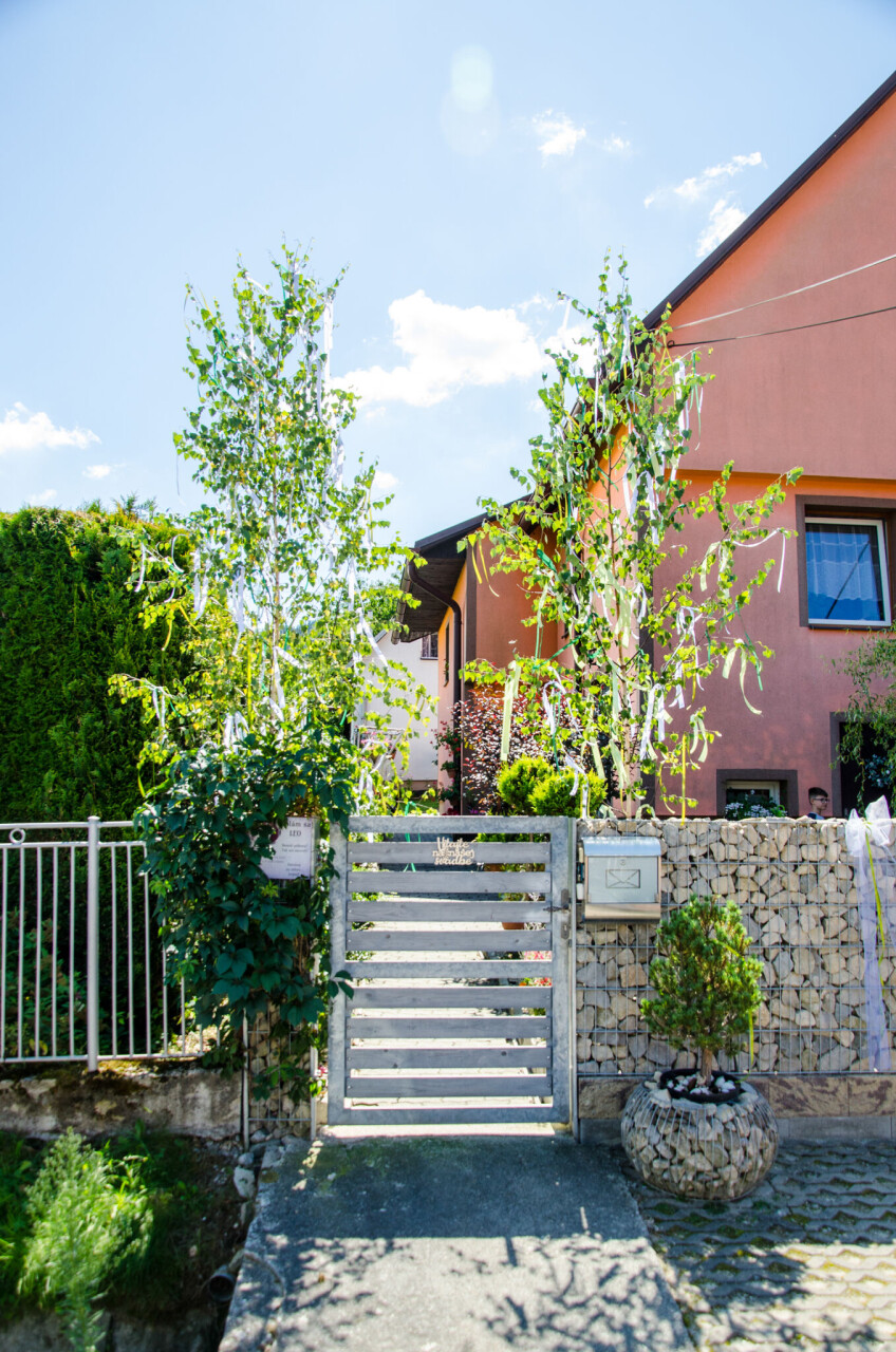 SFMJ_053