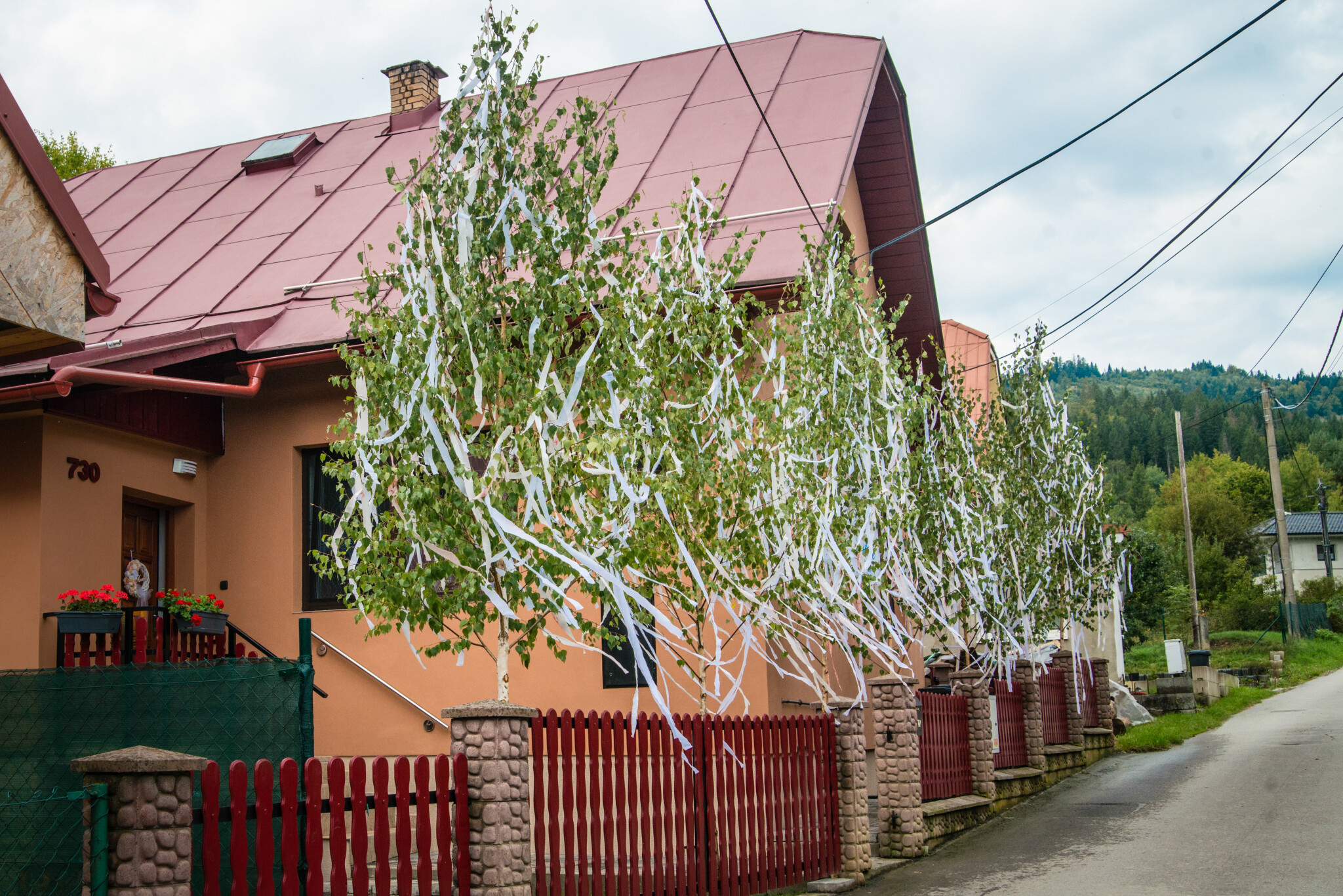 SVMT_046